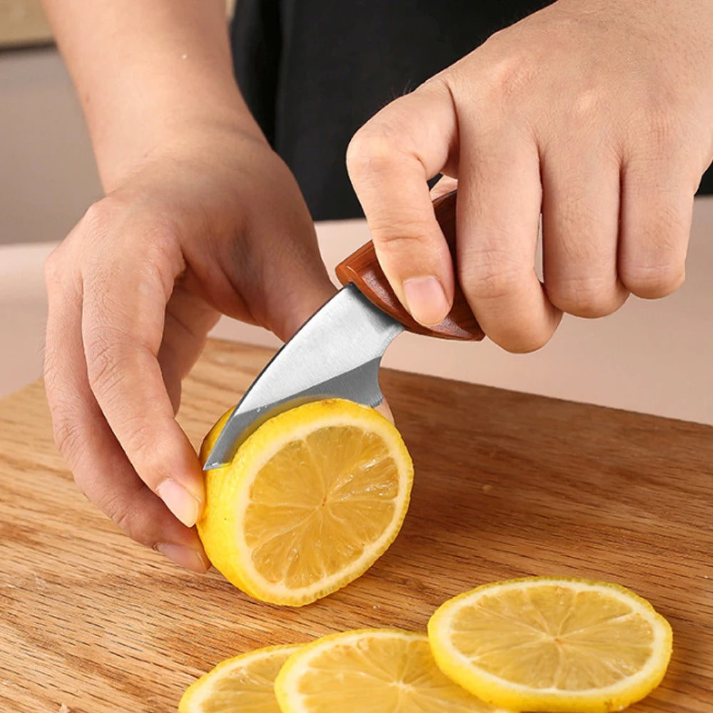 Wooden Handle Mini Pocket Knife