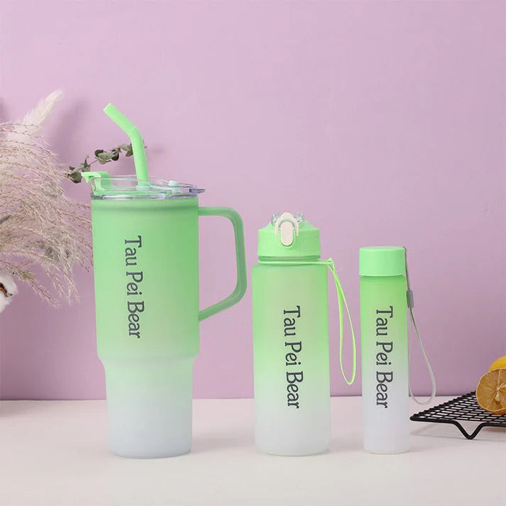 3-Pack Tumbler Bottles with Lids and Straws (Plastic)