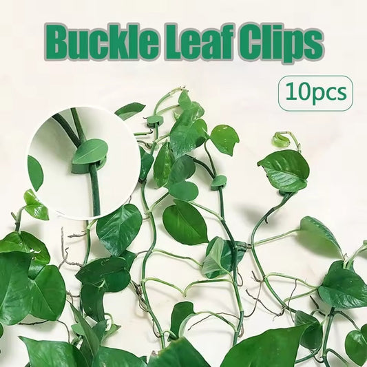 Pack Of 10 Plant Climbing Hook