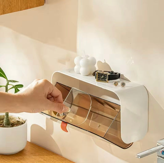 Wall Mounted Organizer With Adjustable Dividers
