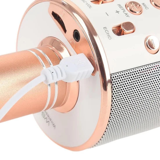 Wireless Microphone Hifi Speaker.