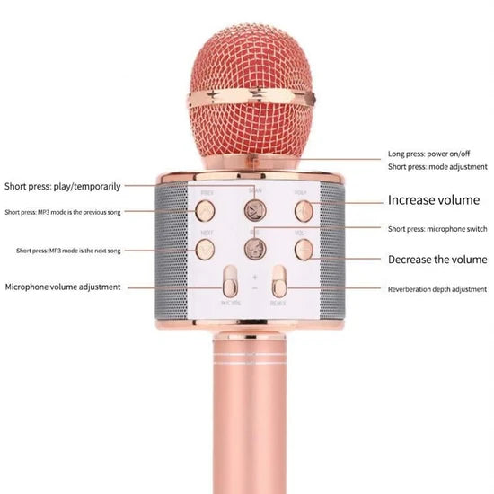Wireless Microphone Hifi Speaker.